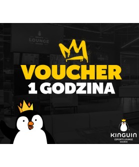 1h grania w Kinguin Esports Lounge Kinguin Key OTHER